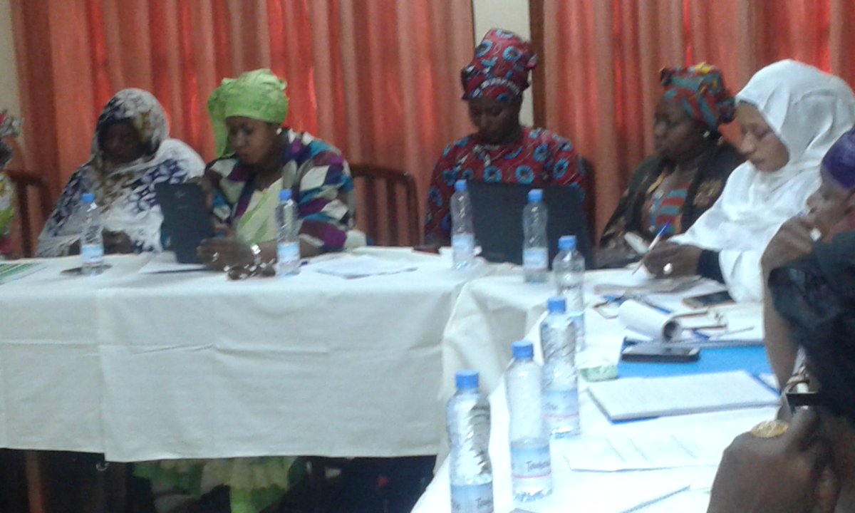 Le WiLDAF Mali a organisé un atelier de renforcement de capacité des femmes de l'Afrique de l'Ouest francophone sur l’appropriation des mécanismes onusiens pour un plaidoyer efficace #Anne Guyaz # Ramata_thione # @WILDAFAO #femo media
