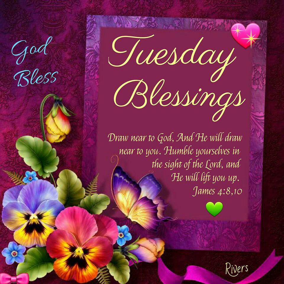 Latest Good Morning Tuesday Blessing Naturesimagesart