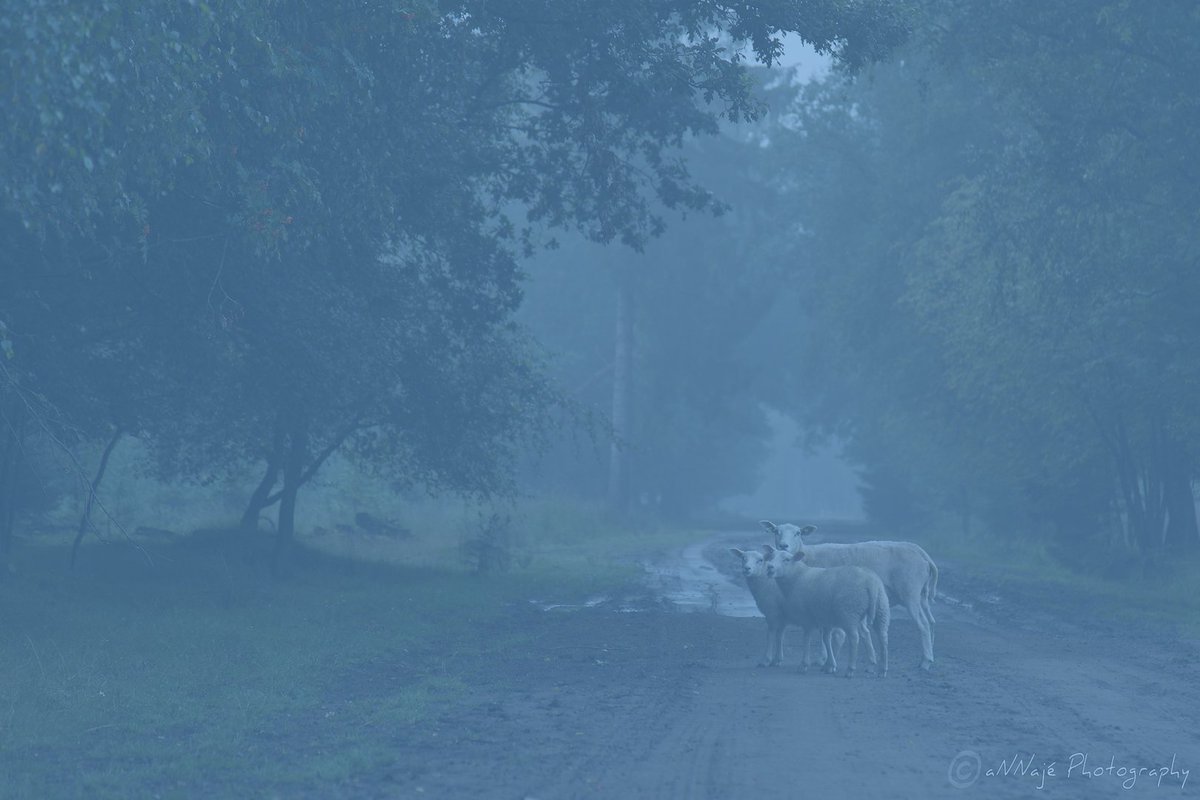 De laatste nieuwsbrief al gelezen? mailchi.mp/533c8a508663/l…