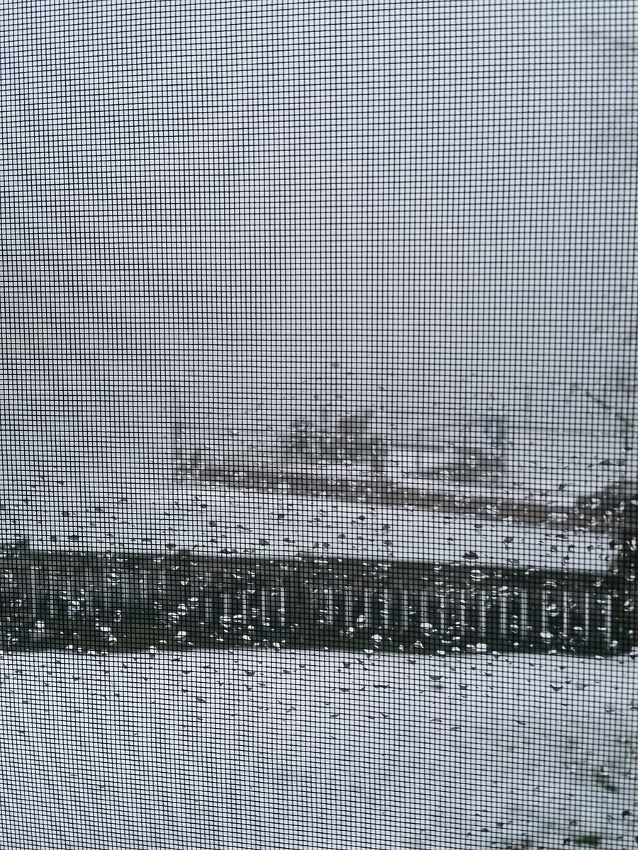 GregCKL's tweet photo. Oh boy.... here we go again. FOG! #FogDay #NoBusDay ????? Stay tuned tomorrow @CKXS @LambtonBusInfo @SCCDSB @LKDSB https://t.co/pC2LqnwTFL