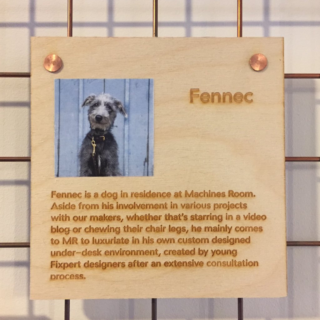 ruthsaxton76's tweet photo. Lively debate @machinesroom this morn and lots of learning. One question...where were the 🐶🐶? #curatingprofdev #makerspaces #dogsforcurators https://t.co/Dv0vTb2ZLV