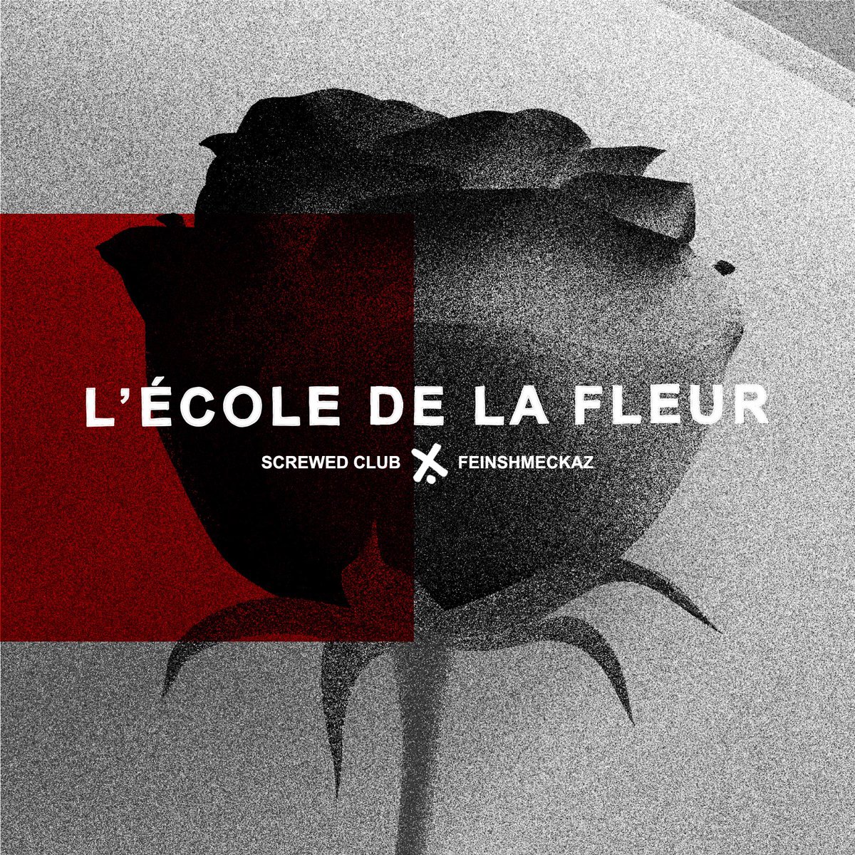 ScrewedClub's tweet photo. 23.02.2018 - RELEASE diesen Freitag: 

https://t.co/gck5SI7n6A

#screwedclub #feinshmeckaz #lecoledelafleur #fleur #newcollection #releaseparty #berlin #panke https://t.co/LyMGQk3v7G