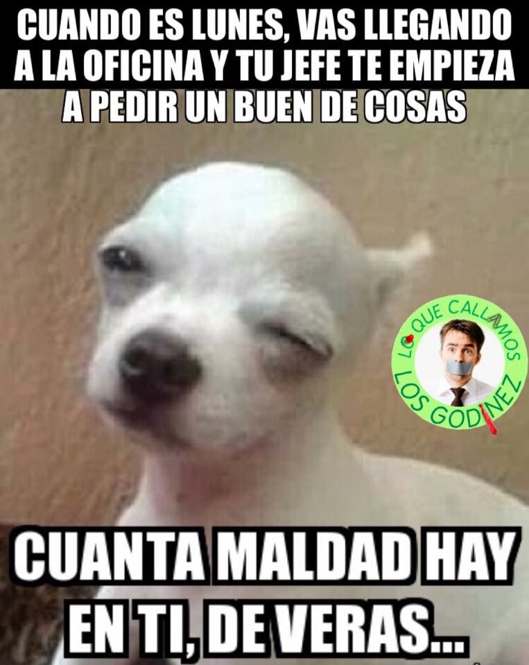 LalelySr's tweet photo. #GodinQueSeRespeta todos los lunes !!! https://t.co/3zz8wBycS5