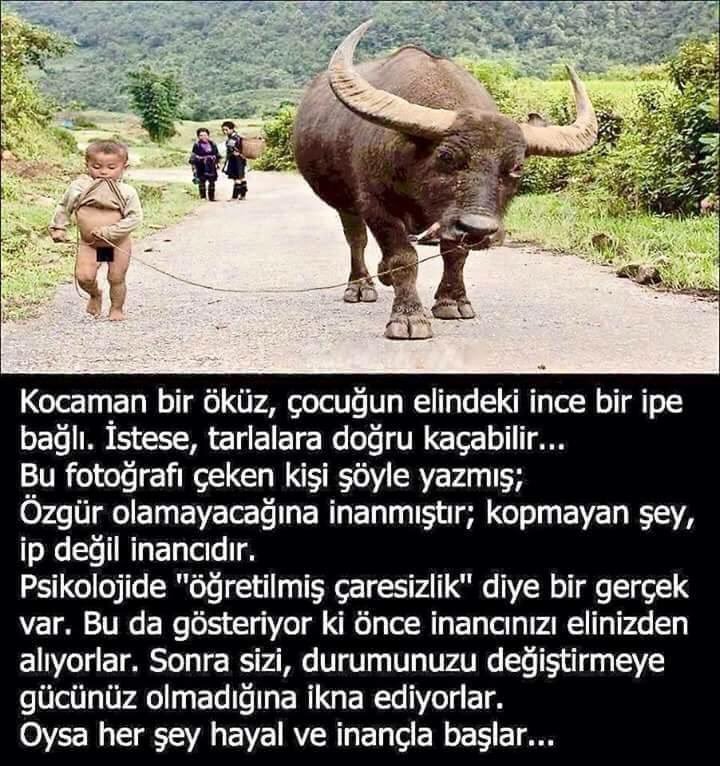Her şey hayal ve inançla başlar. İyi şeylere inanın 😉