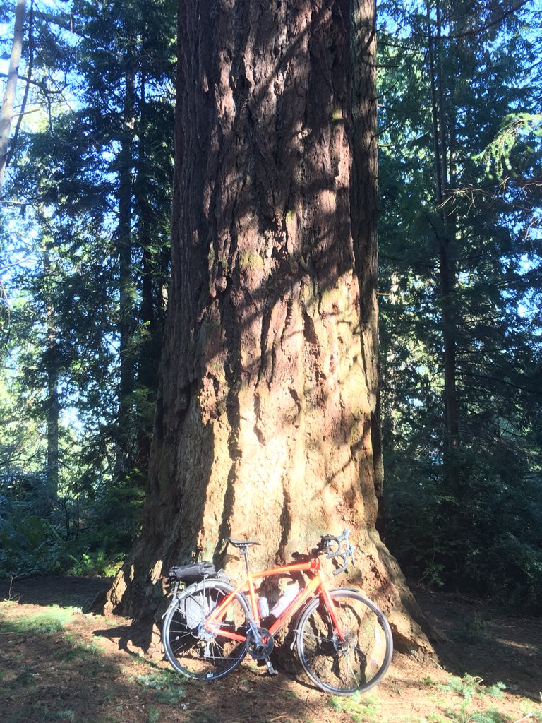 bobco85's tweet photo. Took advantage of a work holiday to use @SoundTransit Sounder train to travel to Tacoma today with my bike for some fun exploration - personal request: Tacoma Dome should be called the Taco Dome (more delicious sounding) #bikeWA #SeaBikes #BAFS2018 https://t.co/VoxoIvQMxg