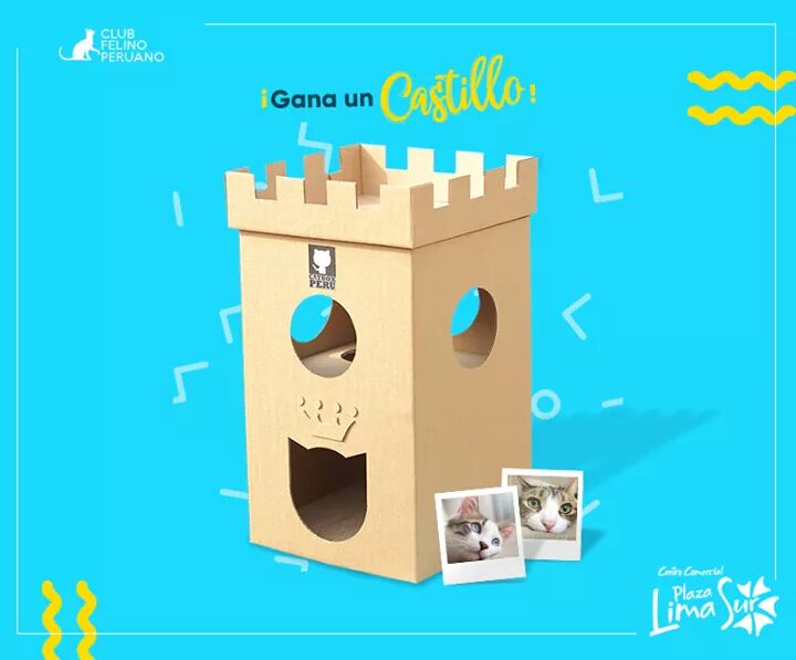 CatBoxPeru's tweet image. #Concurso
Chicos todos a participar en este gran concurso de un super castillo Catbox, solo entra al fanpage de Plaza Lima Sur y sigue las bases del concurso.