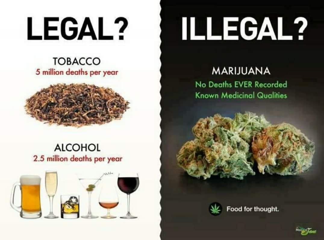 CannabistaLife's tweet photo. True story https://t.co/9B2XtaKIwe