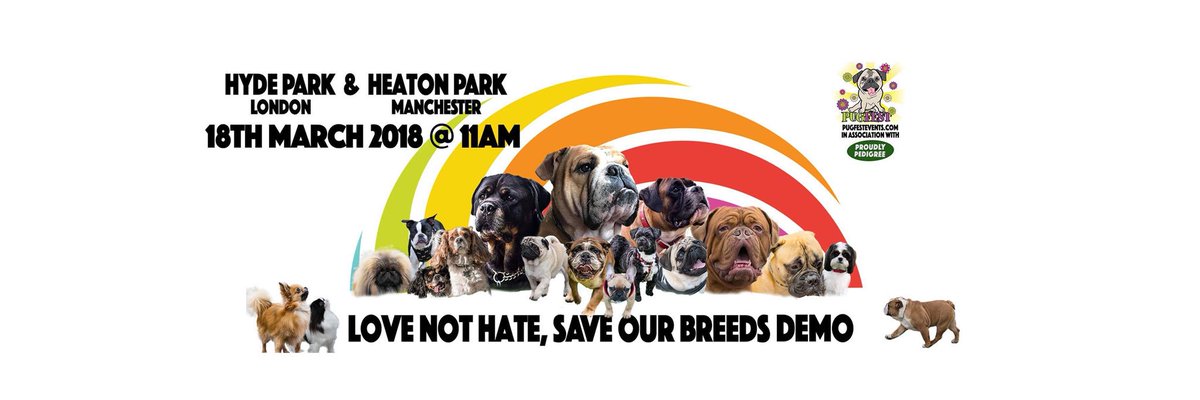 SaveOurBreeds's tweet photo. @BestOfPugs hey guys please can you support us pugs 
Please follow and share RT and help us #SaveOurBreeds https://t.co/2l9rZCyYGC