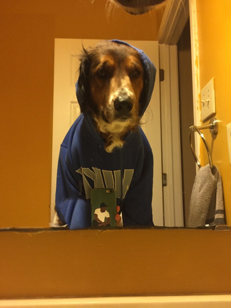 jonas_chimbanda's tweet photo. #selfieolympics https://t.co/Kk6b7tGM9N