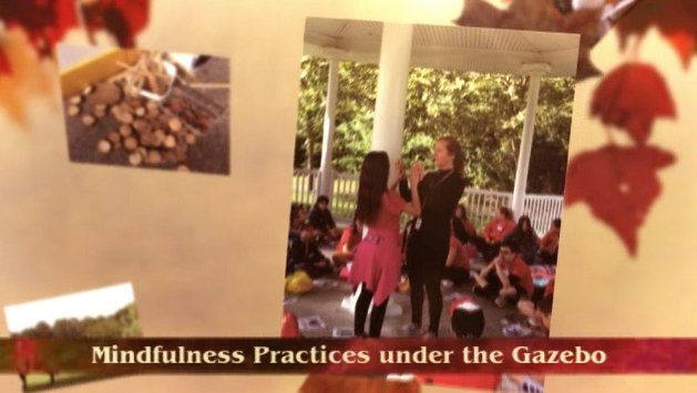 FICRIMSEL's tweet photo. We love to hear from our clients. “We took what we learned during summer #SEL training and built an age appropriate lesson around it for all of these children. We hosted a nature retreat day for ALL of the 7th graders," - Teachers in our Comprehensive Program #BeyondContent2018 https://t.co/ca7zb8PgHf