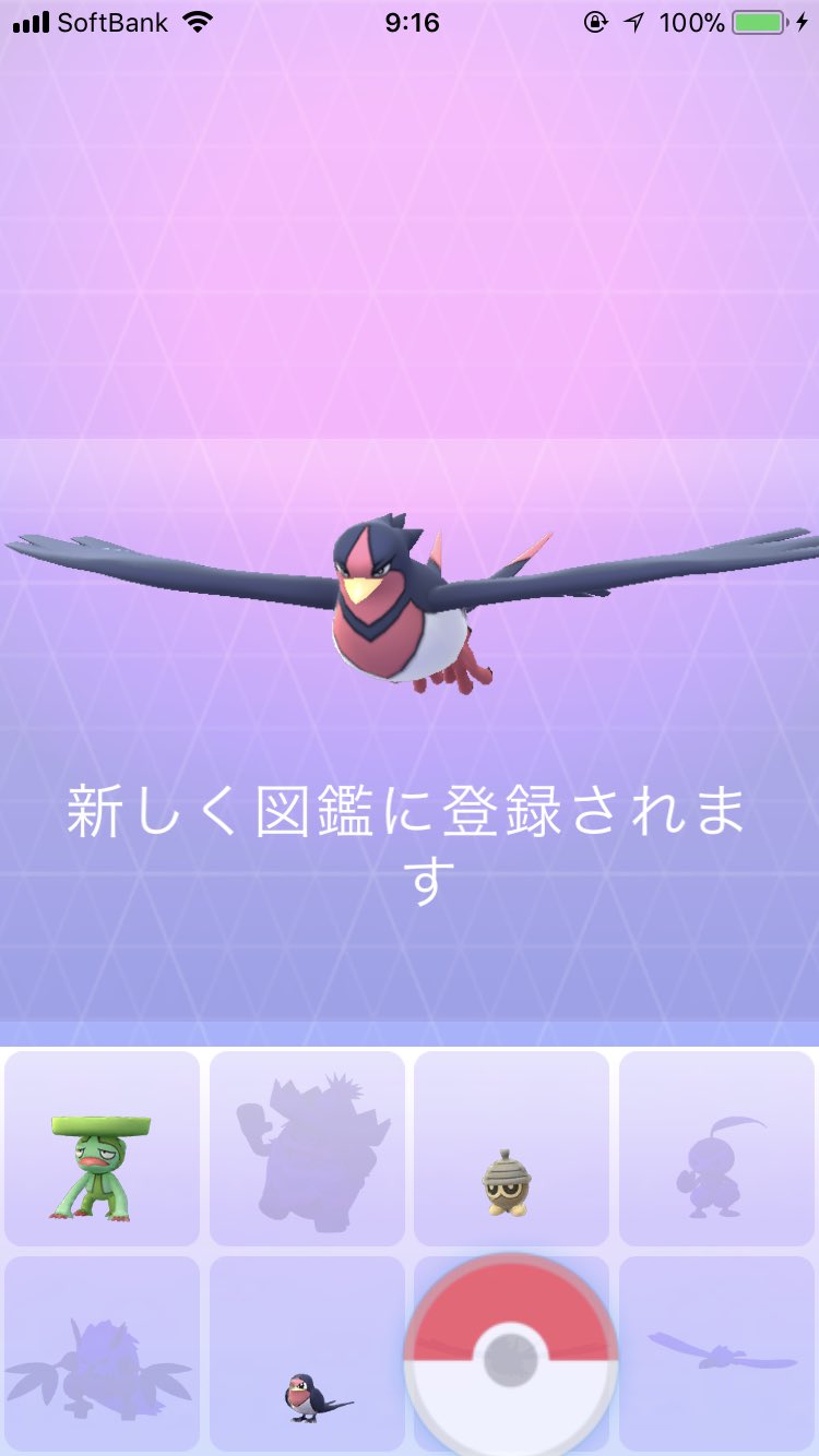 Yuma スバメ100を進化させてみた 自分はやっぱり鳥系のポケモンが好きかも ポケモンgo オオスバメ T Co Rzbbl4x15j Twitter