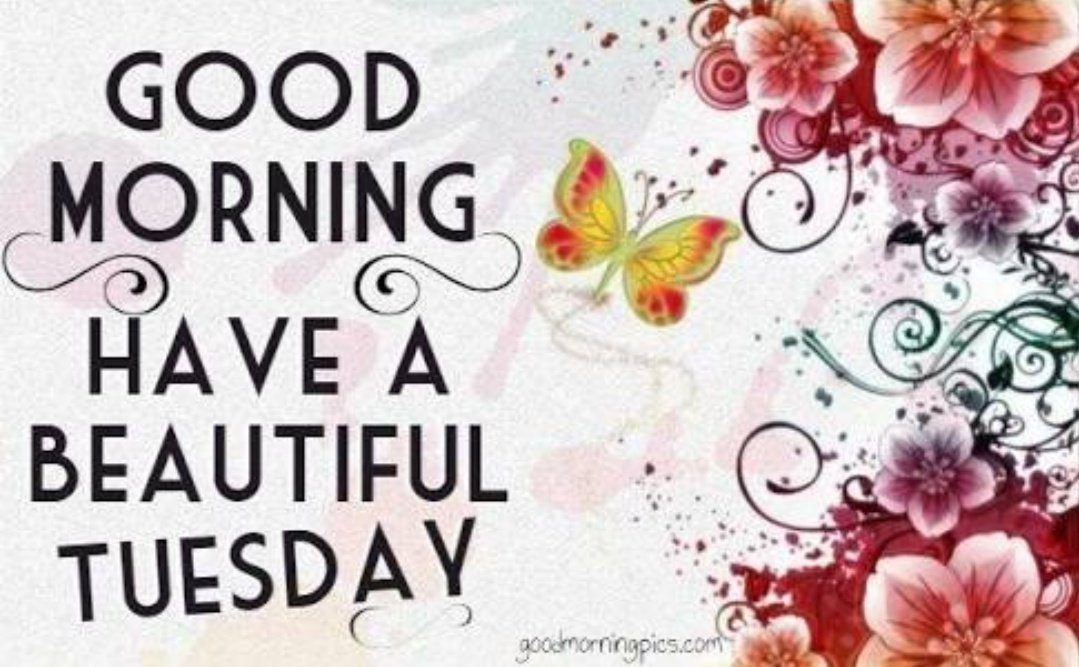 VathsalyaSrj's tweet photo. Good morning dearest @saurabhraajjain Have a lovely day sweetoo 🤗🤗😘😘 #Stayhpy #keepsmiling always 😊😊😘😘 https://t.co/aZ6D2M4Piq