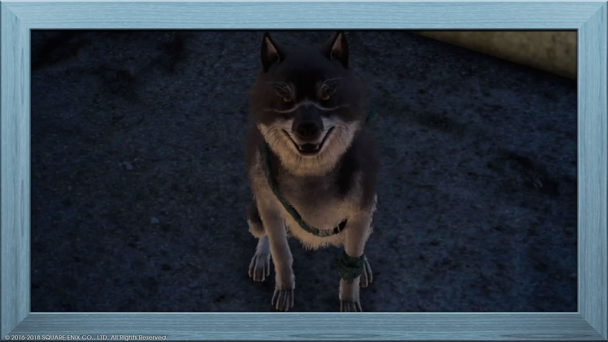 randallmeyer's tweet photo. Dog #PS4share https://t.co/d1InZj5Miv