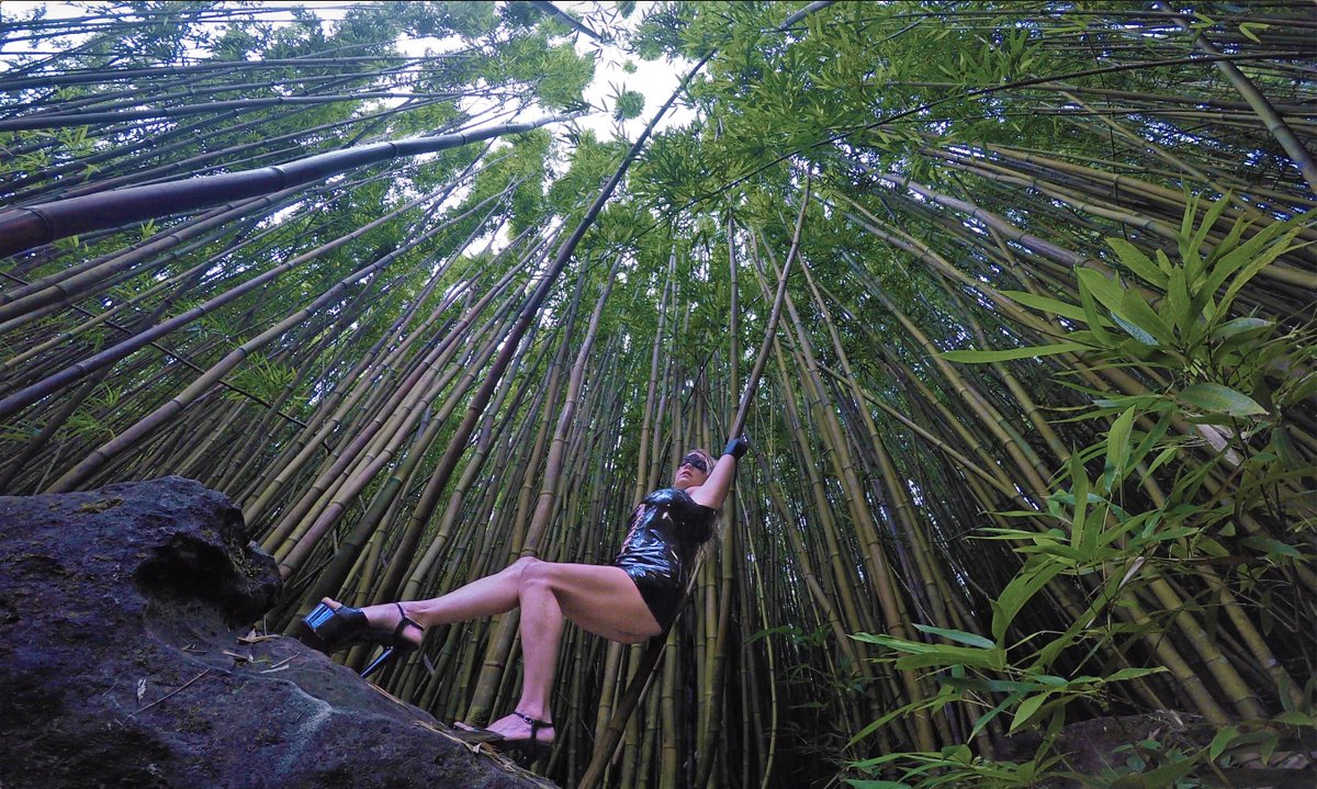 Bamboo Forest for freaks 💚