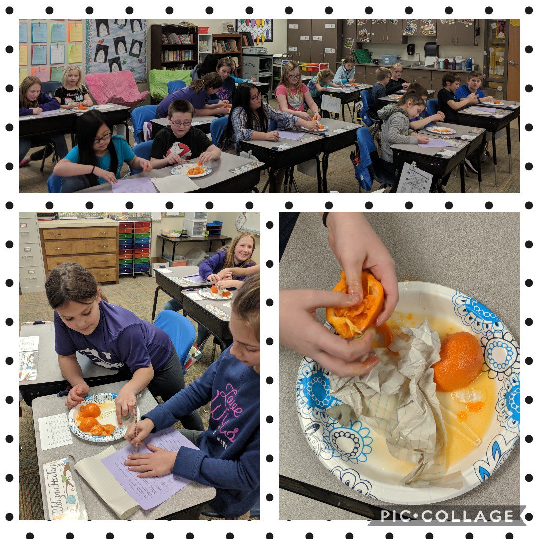 CalenaOhlson's tweet image. Today we learned about physical change! #holdregedusters #4thgrade #physicalchange