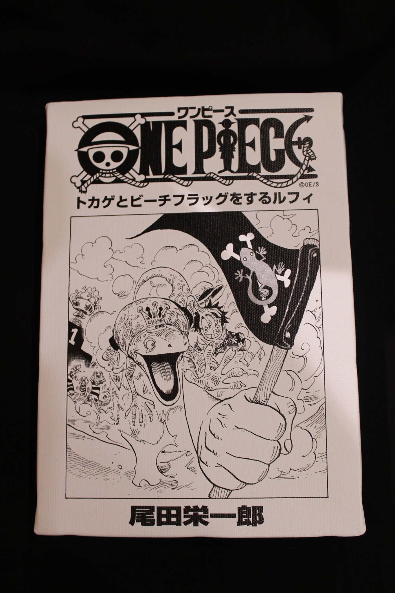 ONE PIECE_キャンバスアートミニ01/ボックス(全6種)(場面写