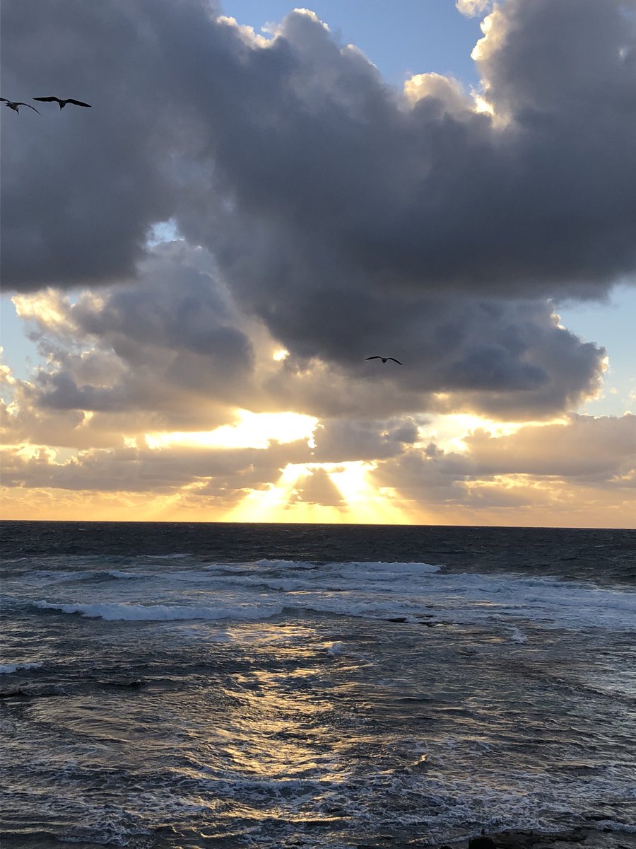 carcarpauthor's tweet photo. Blessings. #sandiego #sunset #nofilter https://t.co/b6iOKNI3JH