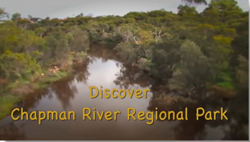 StanleyYokwe's tweet photo. We at @NACC_NRM love our volunteers. Their support and work in #landcare / #NRM inspire us to do more for our precious natural #environment. Please click here https://t.co/ld4fPsBqDM to check out the amazing story of the @ChapmanRFriends  #peopleofNRM @NRM_WA https://t.co/nmEEMJPrf8