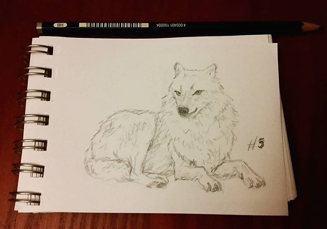 live_love_maria's tweet photo. Wolf sketch 5 for my #AWolfADay
Sitting wolf ๐บ
Now I am almost cought up.
This is for a fanart comic project I am working on. Find out more on my blog (on my page - link in bio) https://t.co/D7UOVGdO2c https://t.co/6K6rbyIHc9