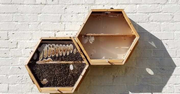 getbelfry's tweet photo. The newest interior decorating trend=modular beehives. Genius? Terrifying? Maybe a little of both... https://t.co/Xi1gzwjOqh https://t.co/lnSl4nwLO7