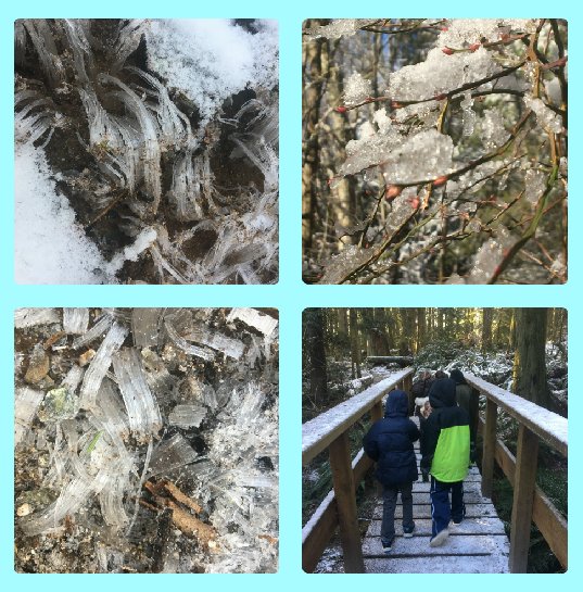 Wagbev's tweet photo. On our Monday morning walk we were enchanted by the artistry and architecture of ICE! @JeffMarshall2  #SD46 https://t.co/sO1Zcx4mcL