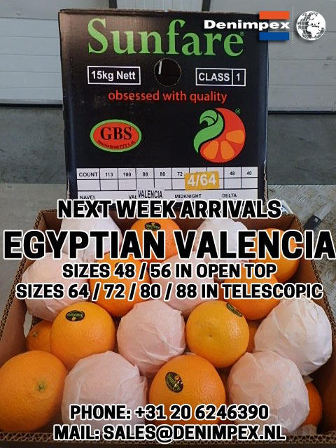 Denimpex's tweet photo. #egyptian #citrus #import #sunfare #valencia #oranges https://t.co/utTj3v9Z5X