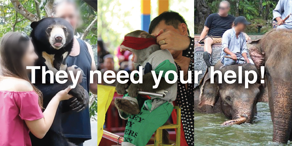 SIGN&amp;SHARE: Wild animal selfies, elephant rides and animal performance - they are all available on TripAdvisor.

Demand it stops:  bit.ly/BeResponsibleT…

Join us in asking TripAdvisor to extend their animal welfare policy to remove facilities and activities which harm animals.