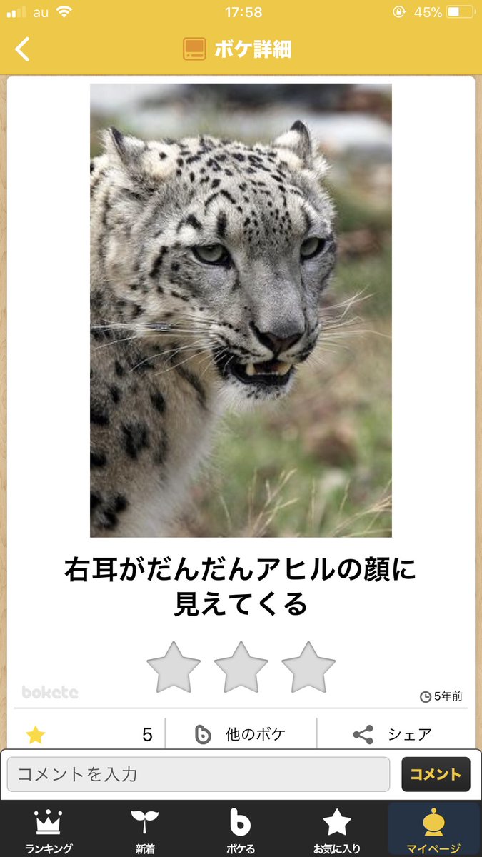 右耳がだんだんアヒルの顔に見えてくる # ボケて#自作ボケて