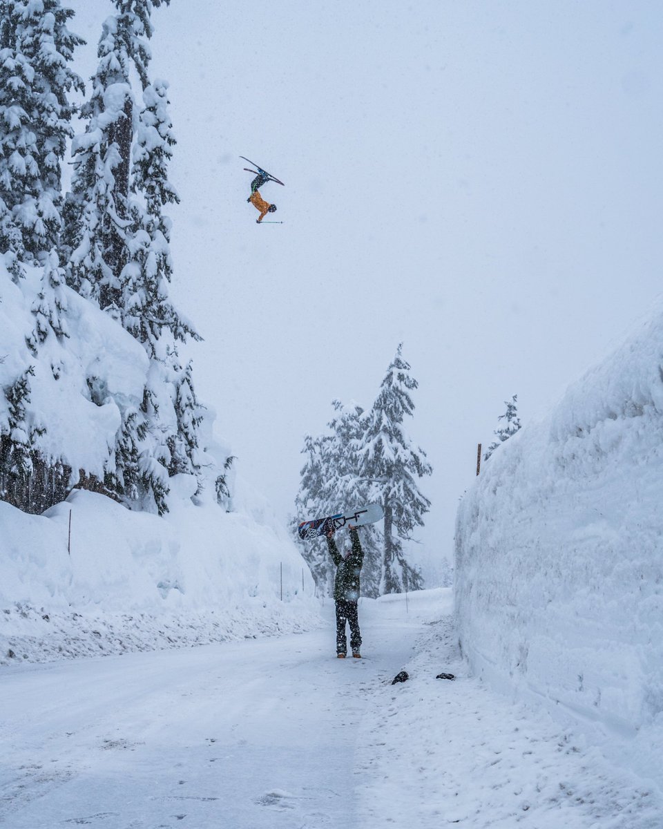 ebook Reproductive Physiology of Marsupials (Monographs ebook Reproductive