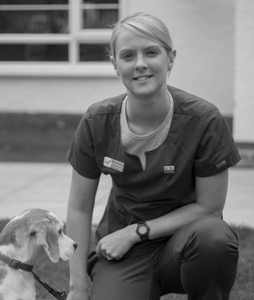 Calling all Rachelophiles!

Do you and you pet miss their favourite vet?

Rachel is available for consults this Friday (a break for her from Maternity!)

Give the surgery a call today to book your appointment