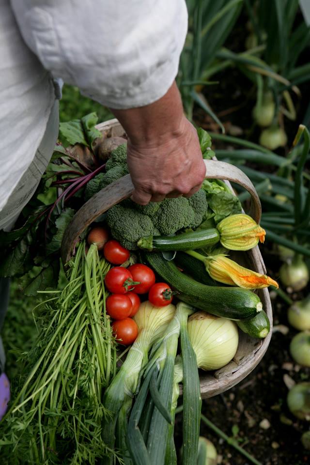 woburngardeners's tweet photo. Member of @The_RHS? As a Partner Garden we're treating RHS Members to a 20% discount on our GYO Masterclass with @PippaGreenwood - come and join us #cantwait #TheRHS #PartnerGarden https://t.co/t8riPzPnz2 https://t.co/cSXoiIjLgy