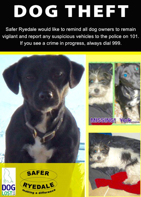 Hemp & Tinker tweet media