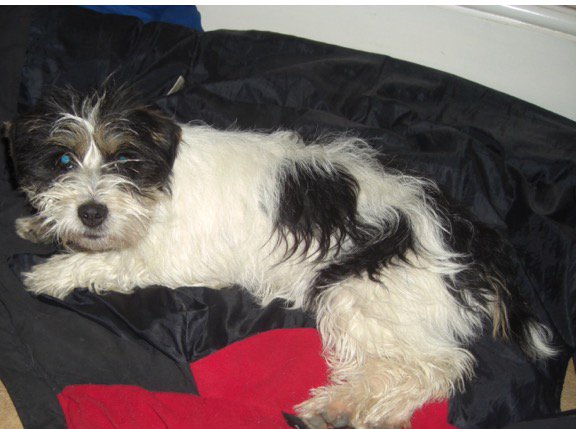 Hemp & Tinker tweet media