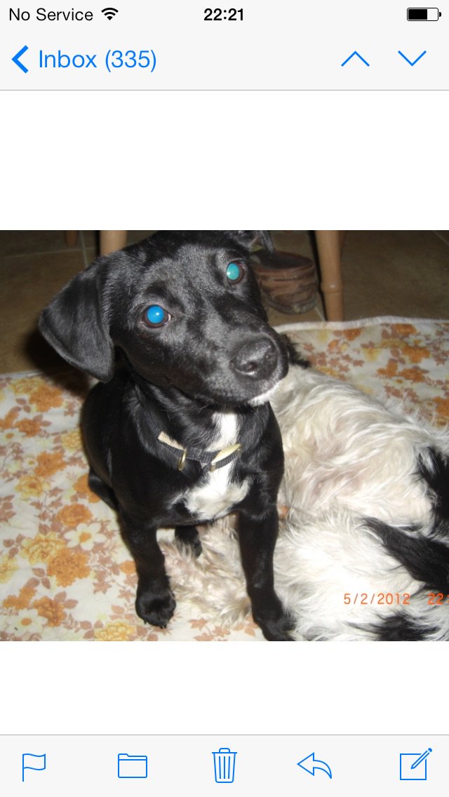 Hemp & Tinker tweet media