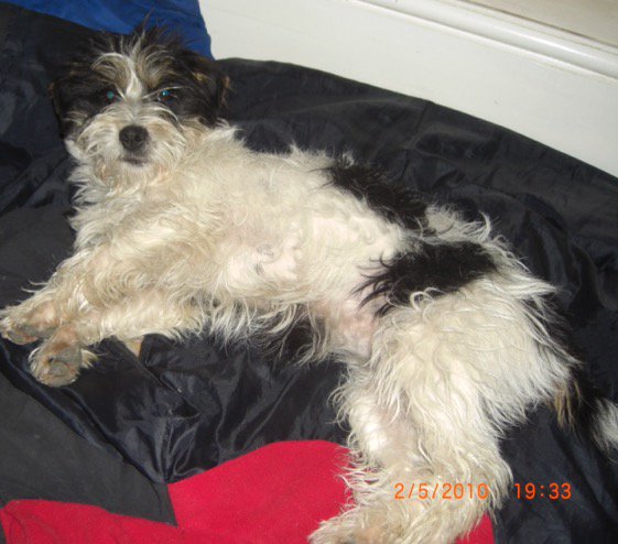 Hemp & Tinker tweet media