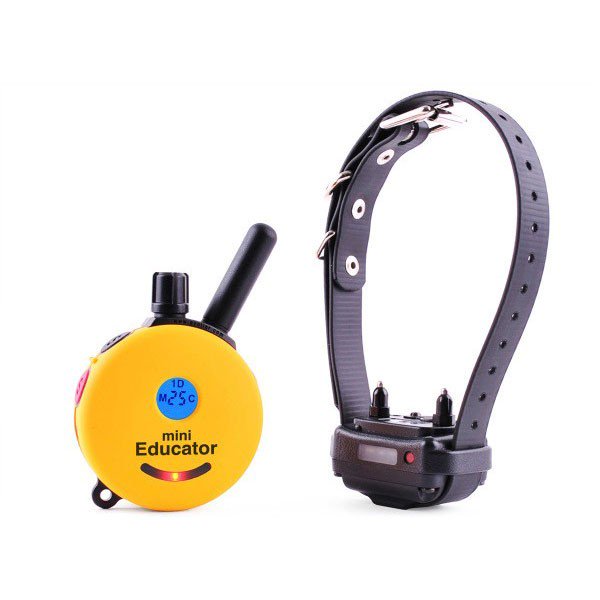 EducatorCollars's tweet image. educatorcollars.com/e-collar-techn…
#dogtraining #remotetrainingcollars