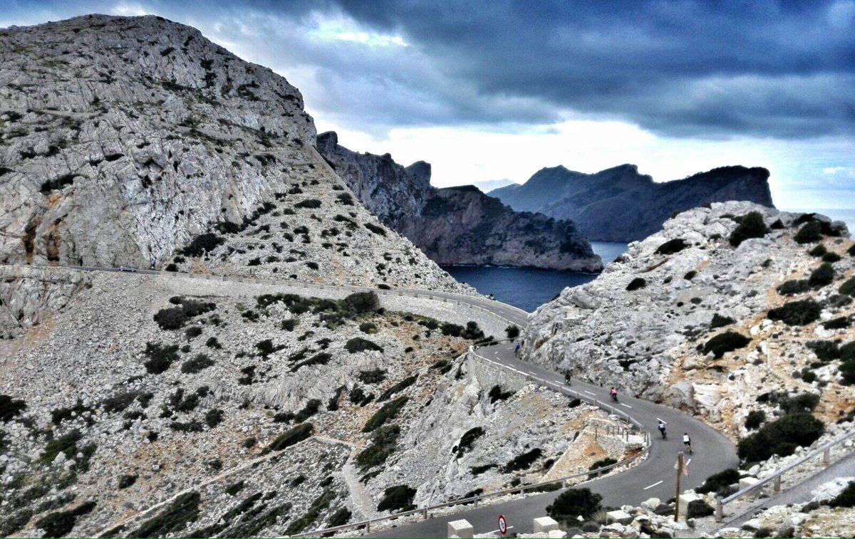 StephenRocheCycling tweet media