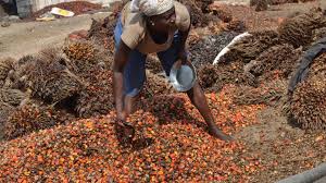 Unilever zegt als eerste volledig inzicht te hebben in de supply chain van palmolie. Complete transparantie van voortbrengingsketens gaat een grote vlucht nemen  de komende jaren.  Met dank aan IT als enabler.   nevi.nl/nieuws/marc-en…