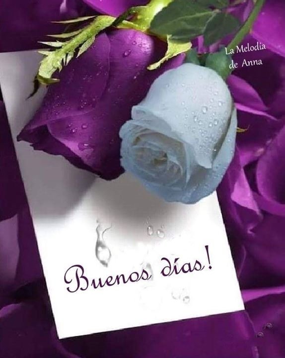 TETEGOR's tweet photo. @PekeSander PARA LA MAS BELLA DEL CARNAVAL https://t.co/pM40cbbtmC