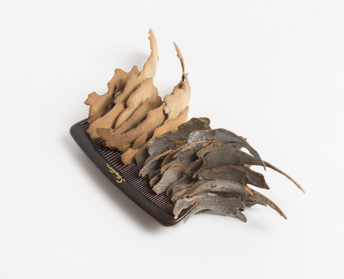 SOA&amp;D staff member &amp; PhD candidate Jacqueline Bradley has a new show opening this Thursday 22 Feb at Drill Hall Gallery. Figure in the landscape is an exhibition of small moments of intervention in the outdoors. ow.ly/Fn7S30iv2fO