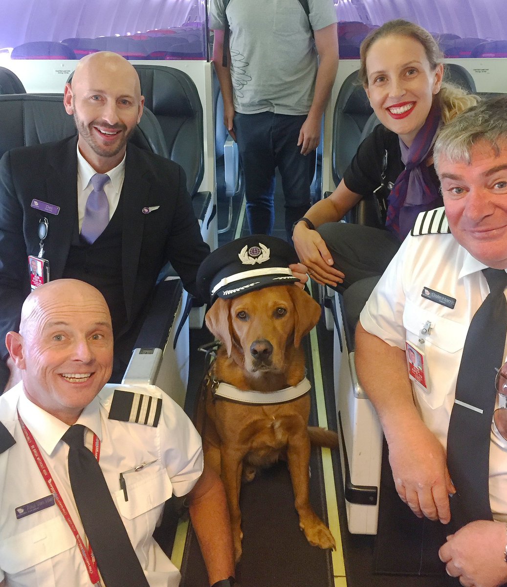 VirginAustralia's tweet photo. Woof Woof. This is your captain Simba the Guide Dog speaking. I enjoyed my first flight with Captain Dale and First Officer Paul in the flight deck, alongside Des and Alessia your cabin crew. Thanks for the paw-fect first flight experience! 🐶✈️ #virginaustralia https://t.co/I9TrAf5BsH