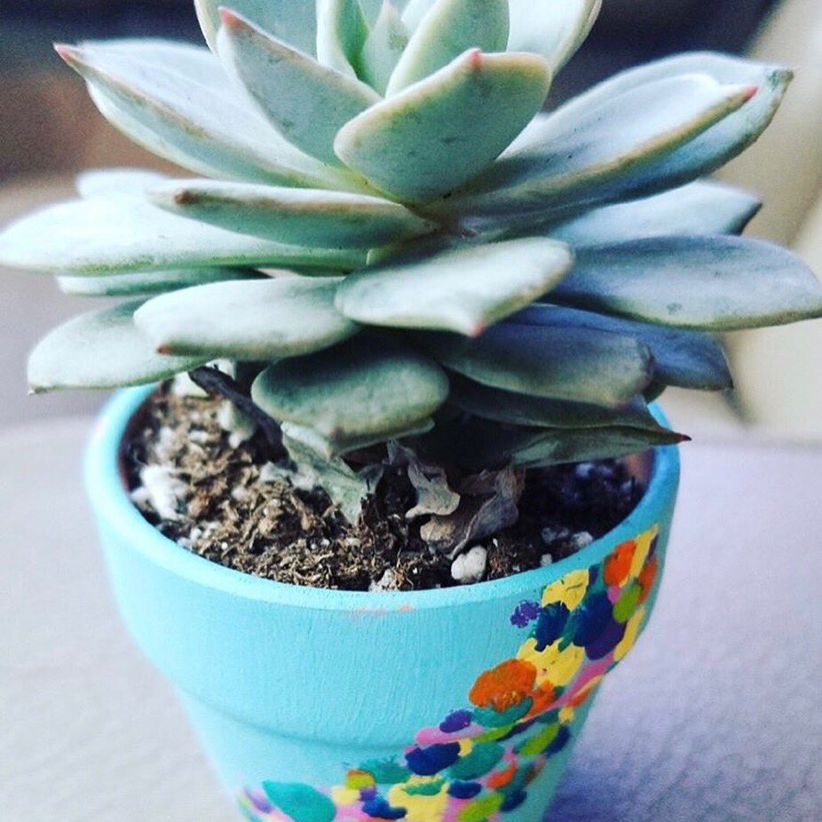 EtaSigSWOSU's tweet photo. Mom’s Day 2018
•
•
•
Life would succ without our mamas https://t.co/9mGvR23UZ7