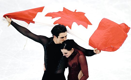 mqharper's tweet photo. Just being adorable. What's new. #VirtueMoir https://t.co/RKsdUTGhO9