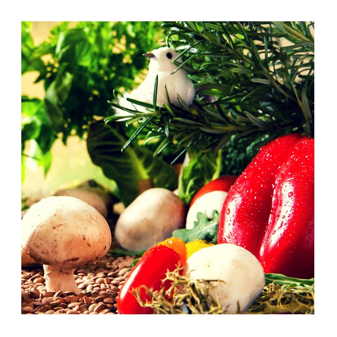ffcafeteria's tweet photo. These humble 🍄 are miniature pharmaceutical factories full of nutritional value. When used in right proportions it adds texture &amp; aesthetics to any recipe.

Likewise, a working team should have talented yet humble people, who can add value to the team project.
#FoodForThought https://t.co/NB1OLfywXf