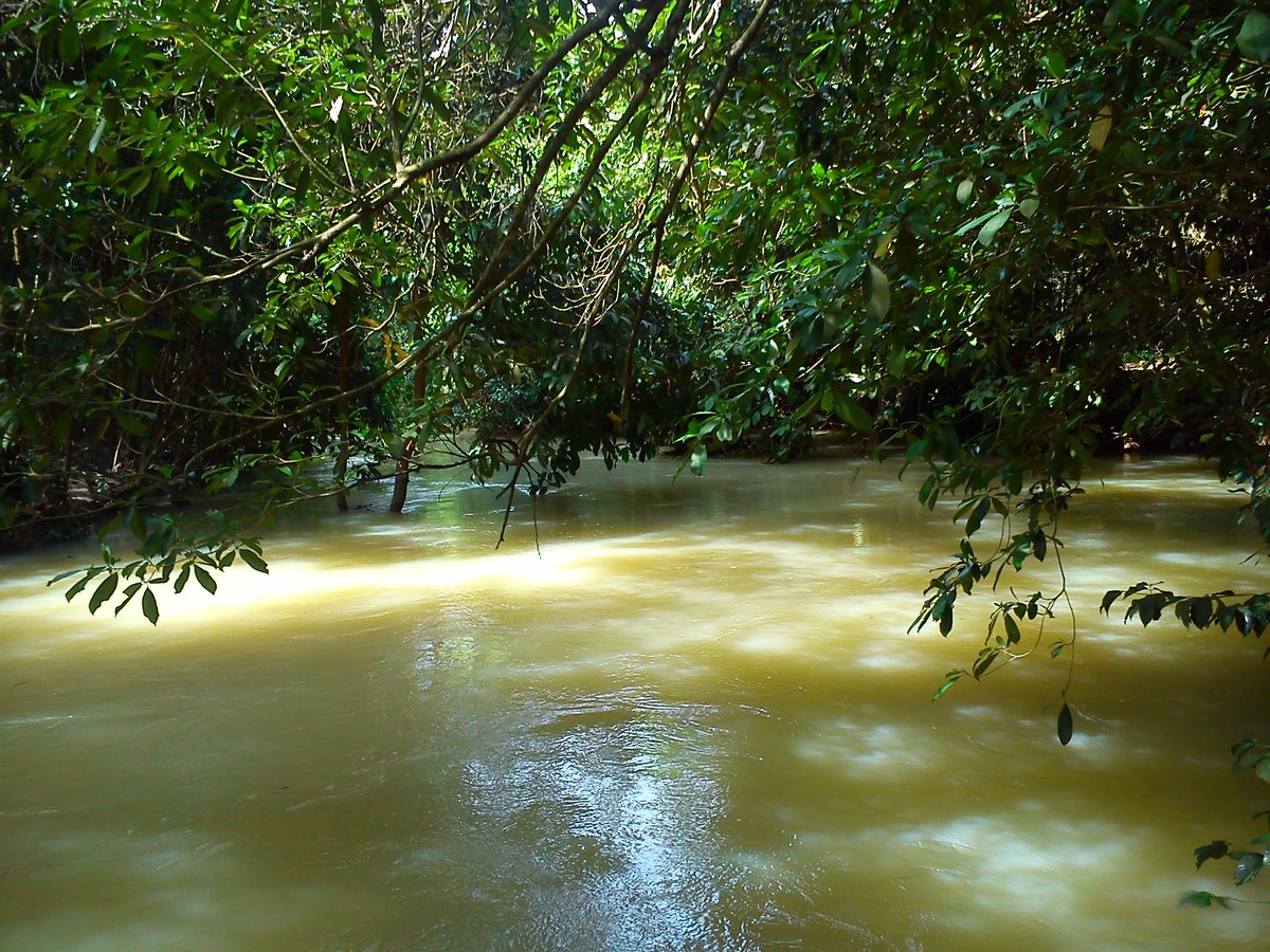 stoperpapper80's tweet image. Like Photoshop hahahah this photography think do war !