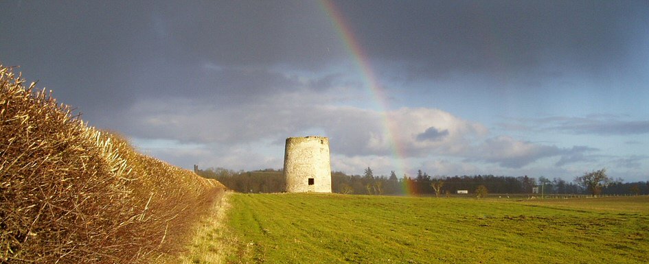 Ruined windmills made ideal dovecotes, as this one in England, the recent architectural study shows how it would have looked once converted from the derelict medieval windmill.