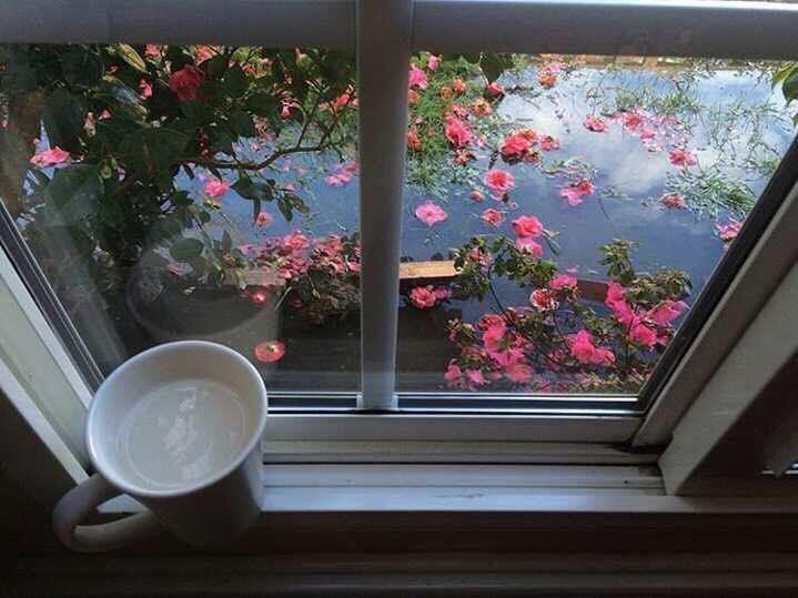 "اتركها تأتي كما كتبها الله لك، لعلها تأتي كما تمنّاها قلبك" صباح الخير.