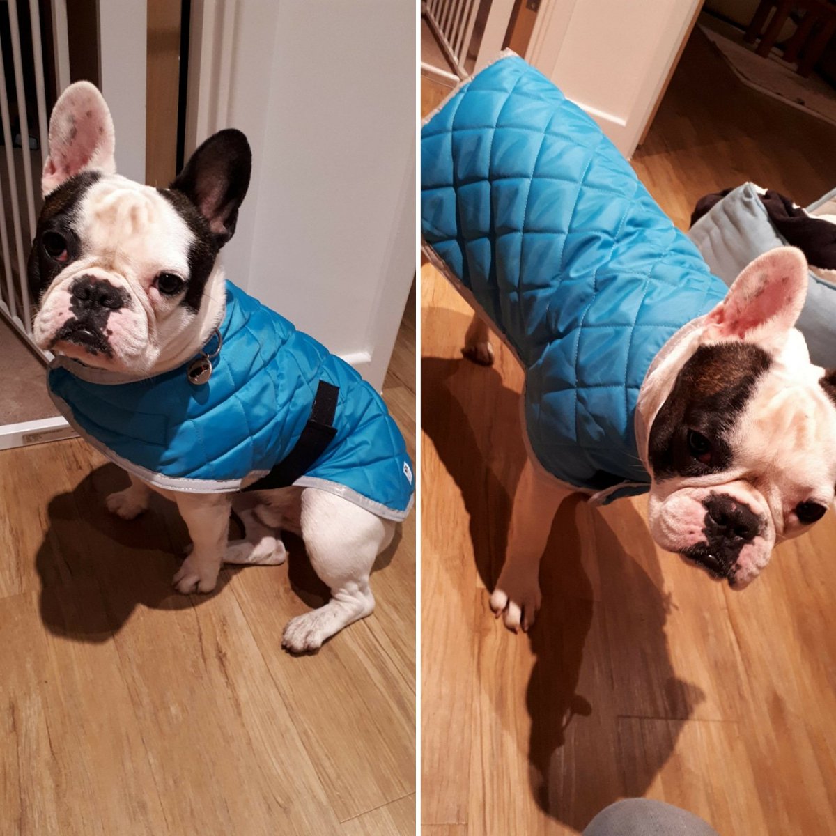 Jake showing off his new quilted waterproof jacket
