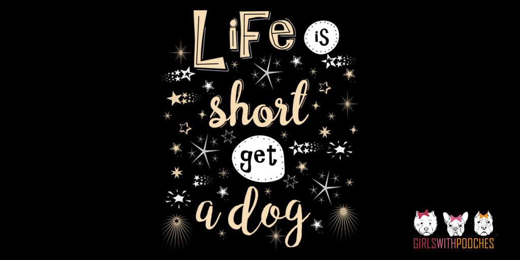 girlspooches's tweet photo. Dog lovers everywhere are nodding in agreement! Check out or store for more cool dog merch -->> https://t.co/Jj5S5MVrAy #lovedogs #puppies #dogoftheday #doglover #ilovemydog #doglovers #doglife #pup #dogslife #lovedogs #doglove #girlswithpooches https://t.co/8zCNr3swuB