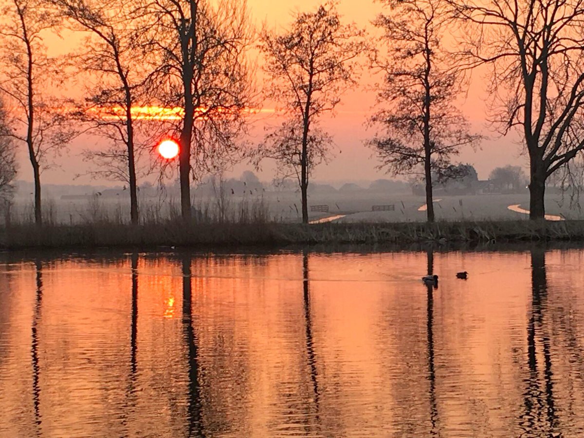 Edwin Brockhoff&Team tweet media